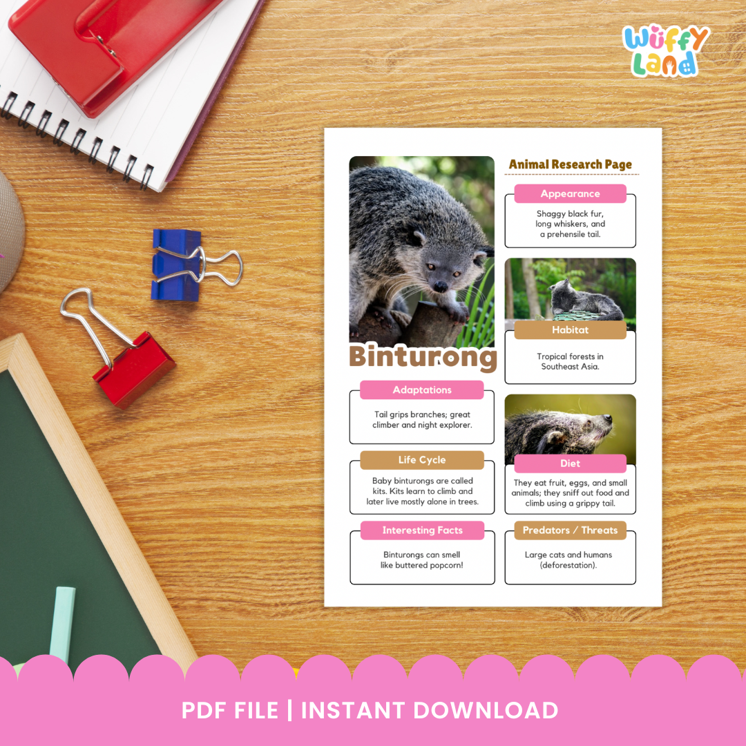 Teks Informasi Hewan Binturong dan Halaman Penulisan Laporan