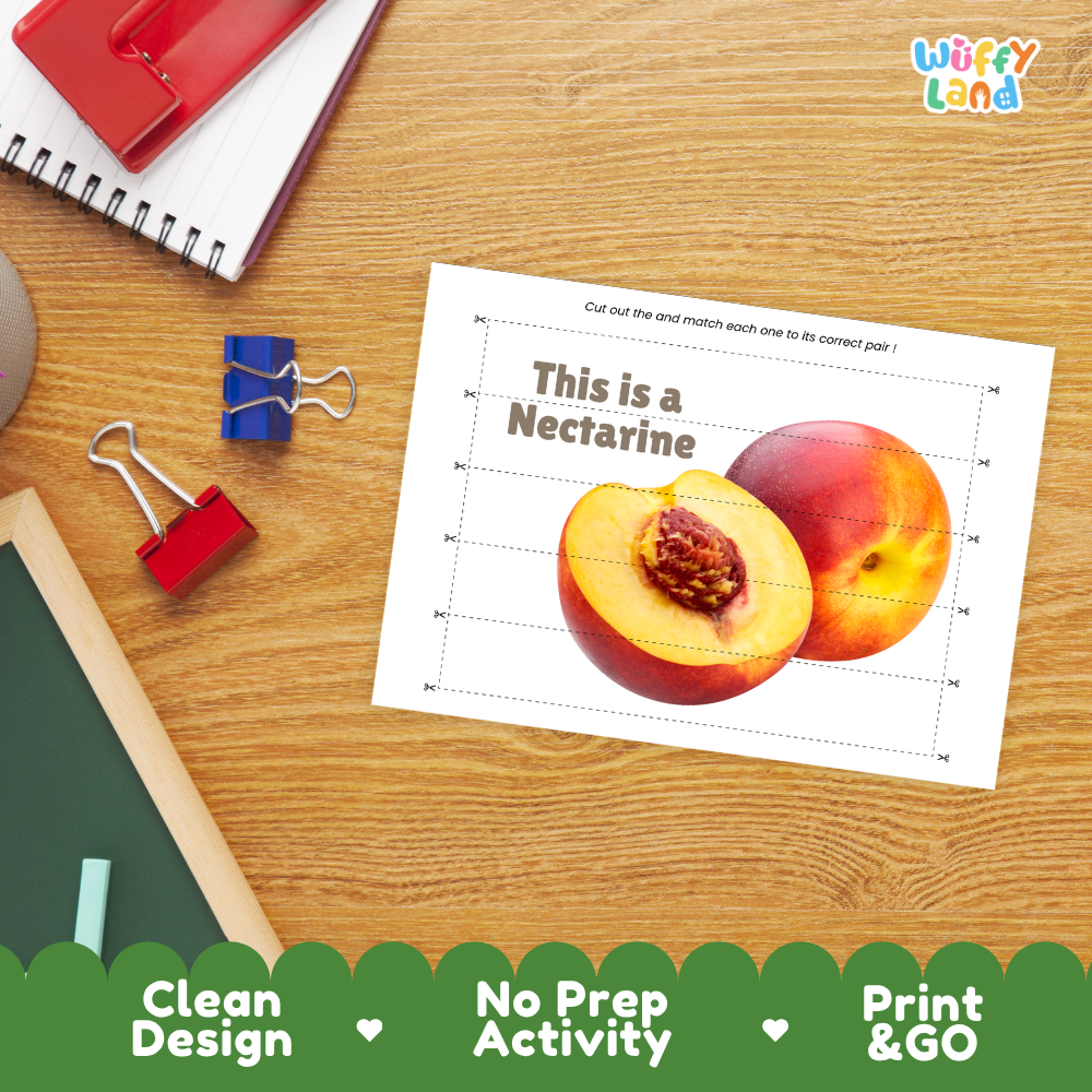 Close-up of puzzle worksheet showing nectarine images and dotted scissor lines