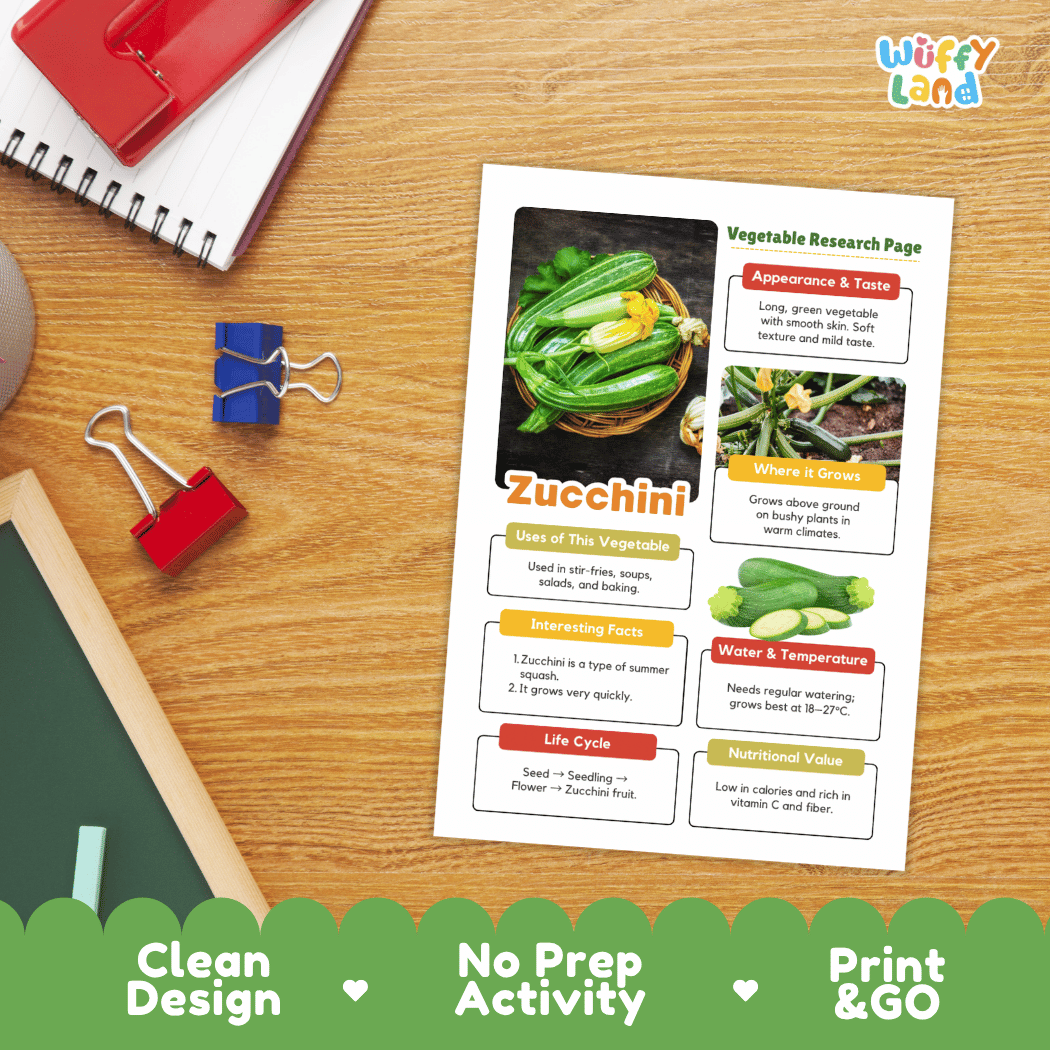 Zucchini Vegetable Research Page Science Worksheets and Fact Sheet
