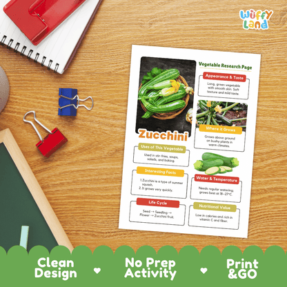 Zucchini Vegetable Research Page Science Worksheets and Fact Sheet