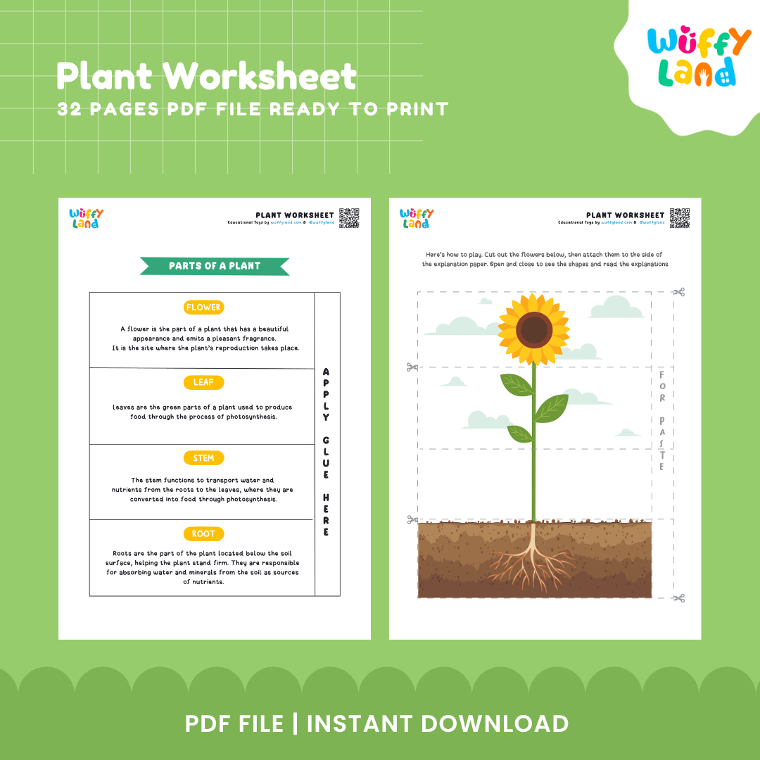 Plant Learning Worksheets for Kids - Printable Education Activities