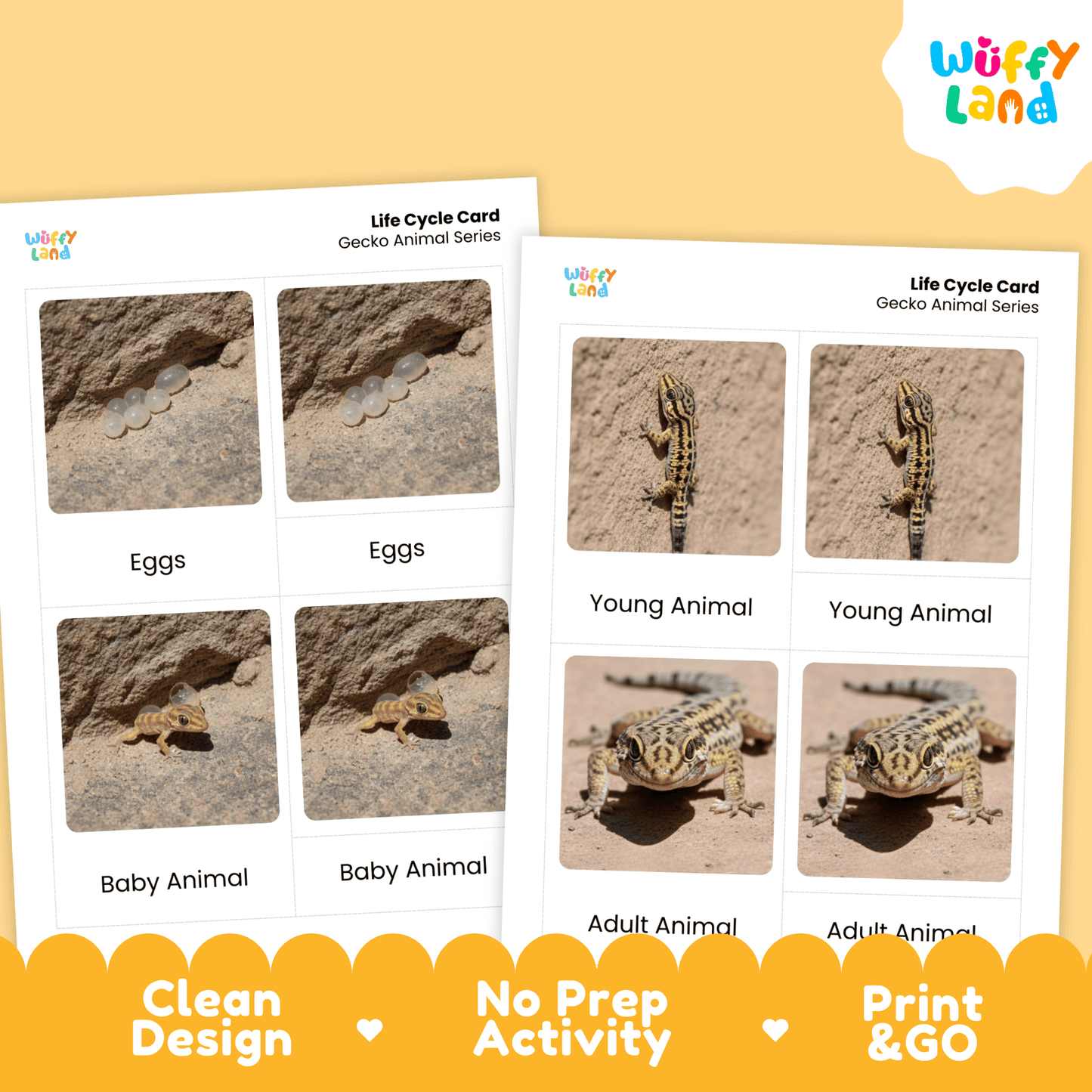 Gecko Life Cycle Montessori 3-Part Cards - Science Zoology Reptile Flashcards