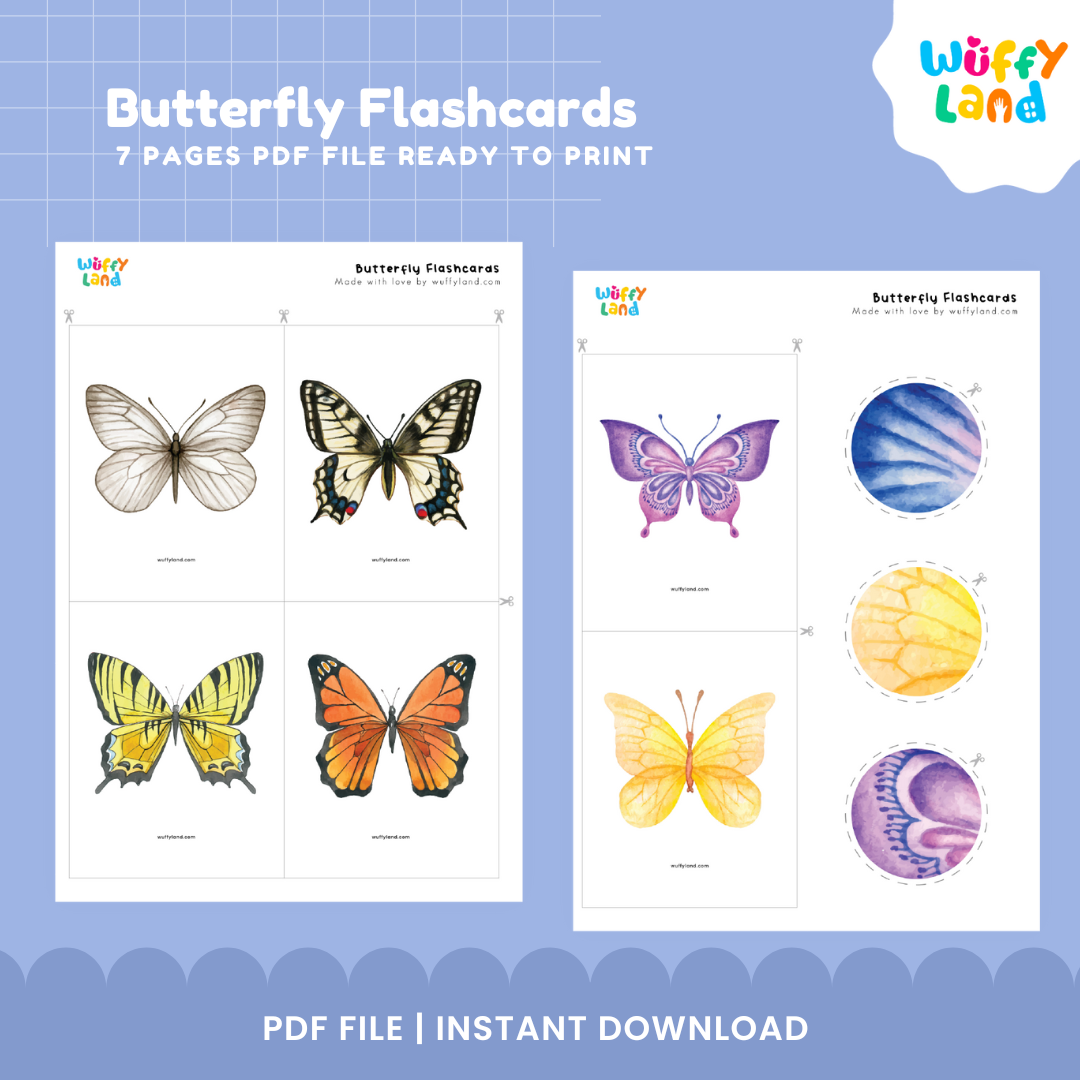 Butterfly Flashcards