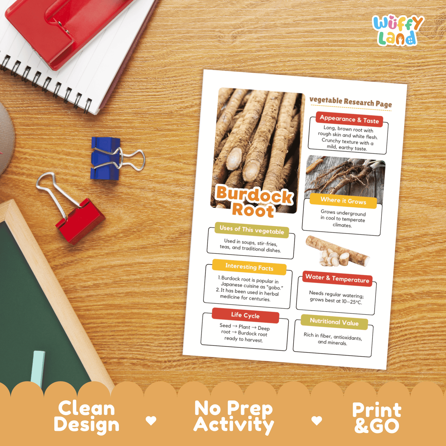 Burdock Root Gobo Vegetable Research Activity Worksheet Healthy Eating Japan