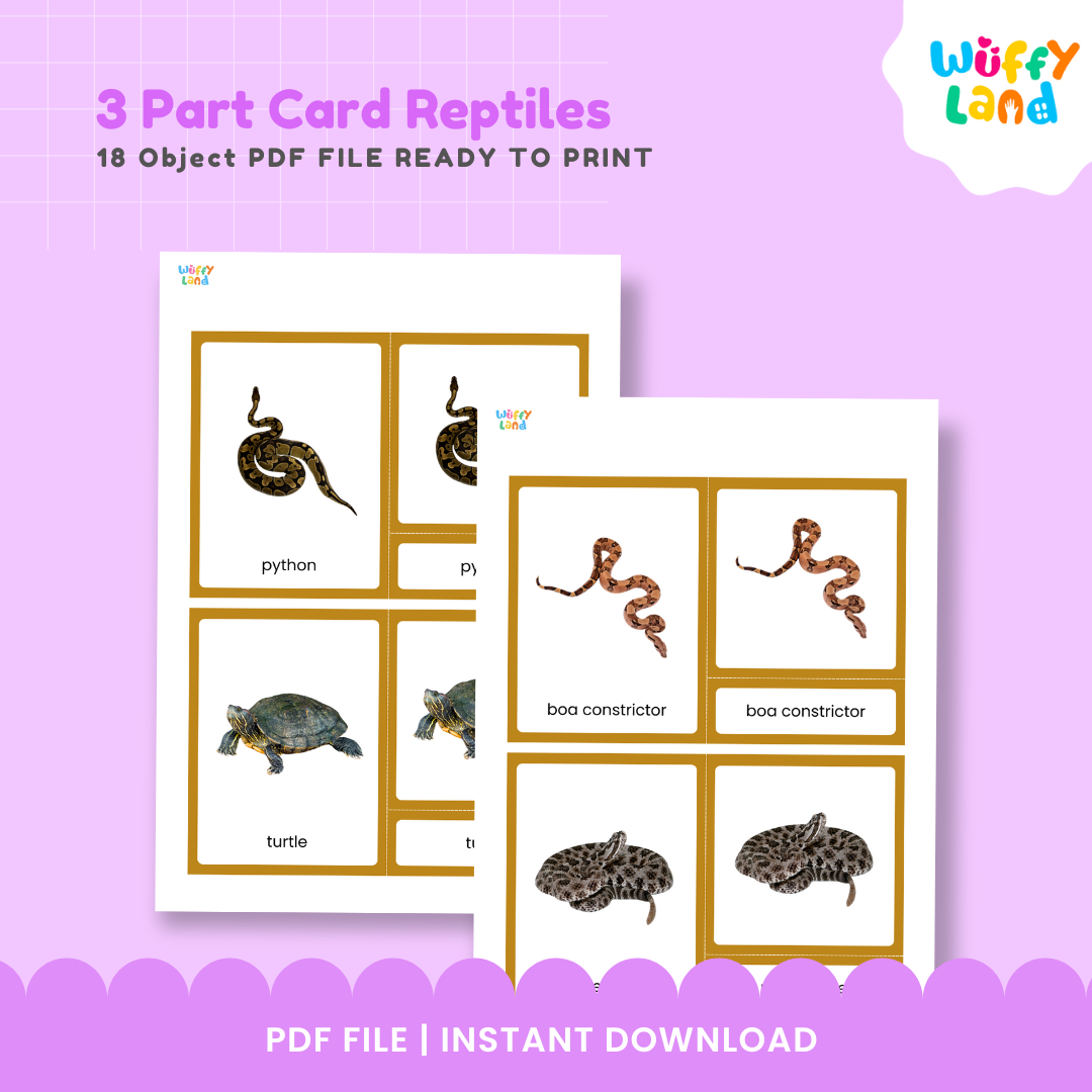 Kartu 3 Bagian Reptil Montessori yang Dapat Dicetak - Aktivitas Identifikasi &amp; Kosakata Hewan
