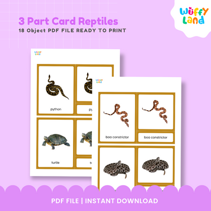 Kartu 3 Bagian Reptil Montessori yang Dapat Dicetak - Aktivitas Identifikasi &amp; Kosakata Hewan