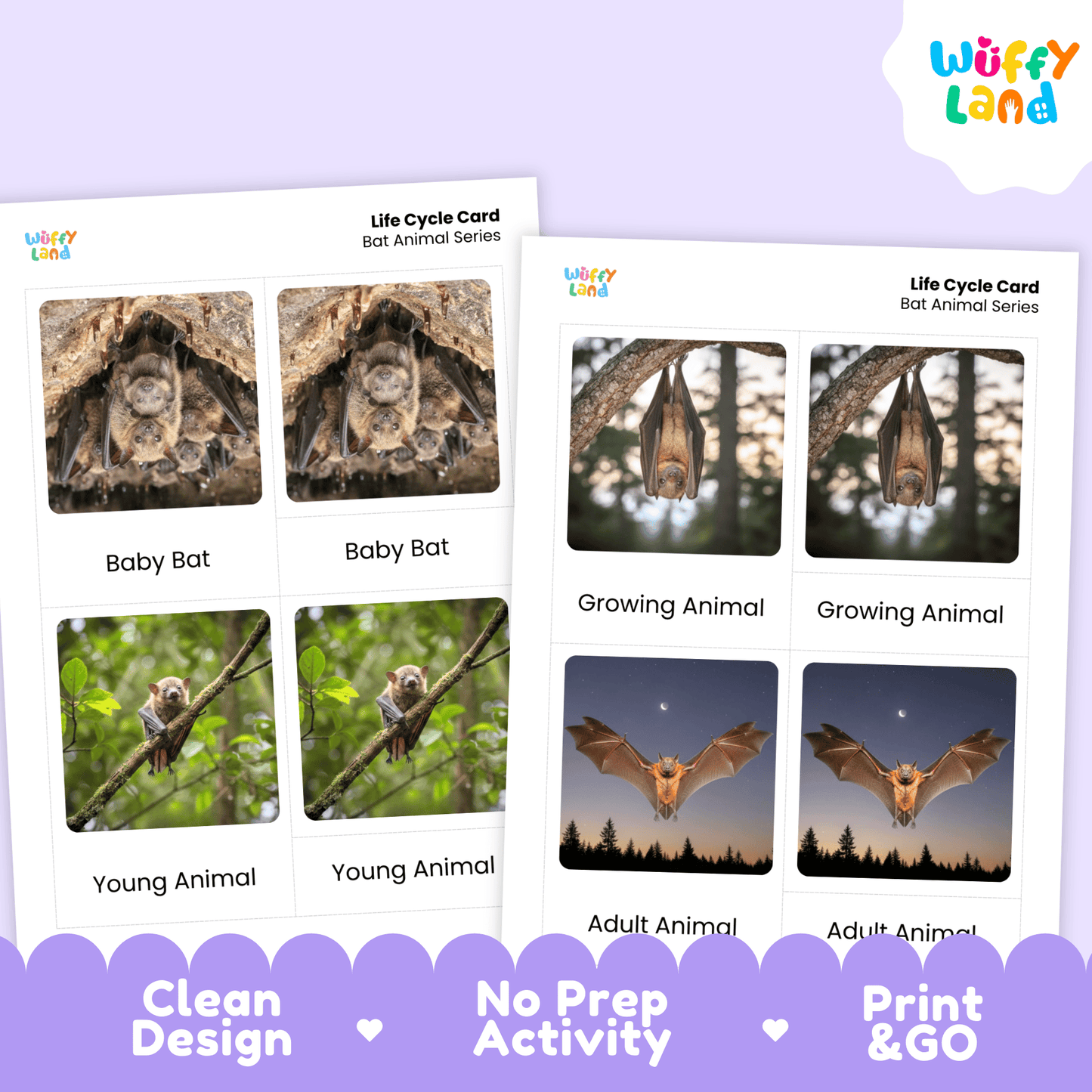 Bat Life Cycle Montessori 3-Part Cards - Science Zoology Mammal Flashcards