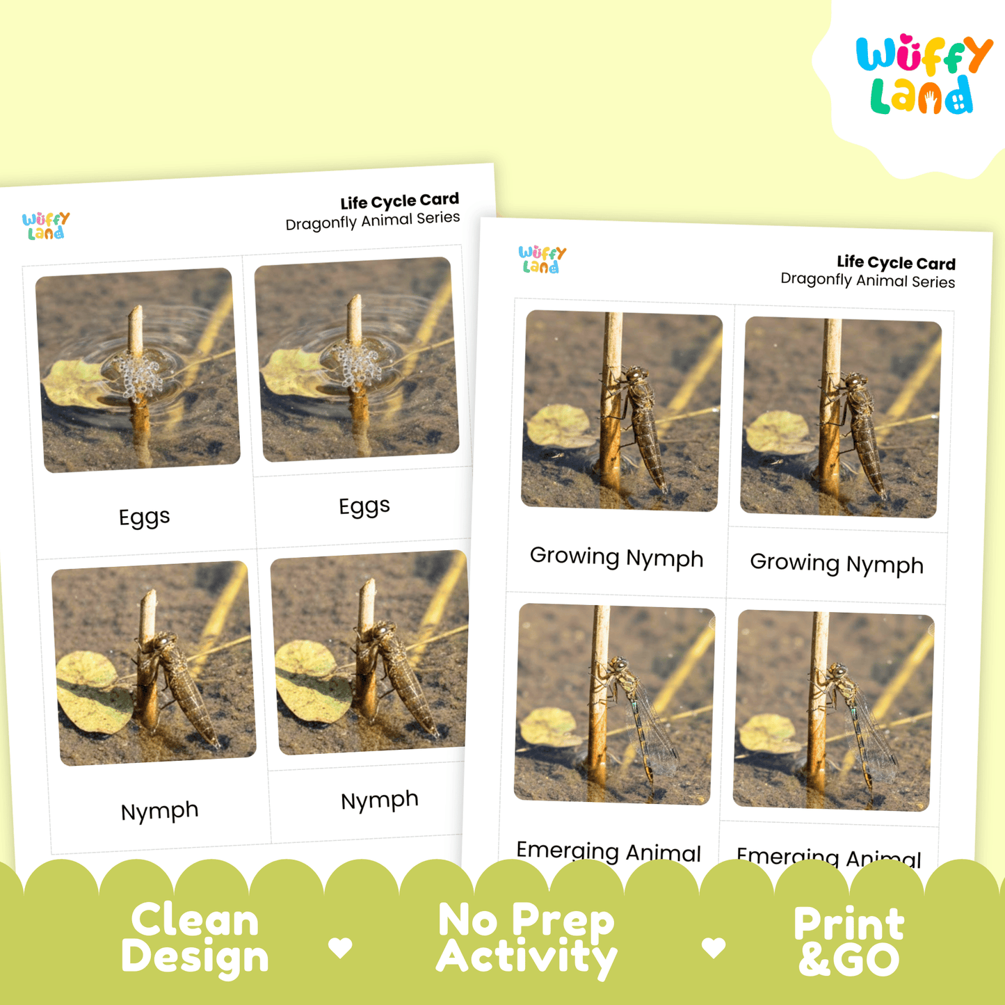 Dragonfly Life Cycle Montessori 3-Part Cards - Science Zoology Insect Flashcards