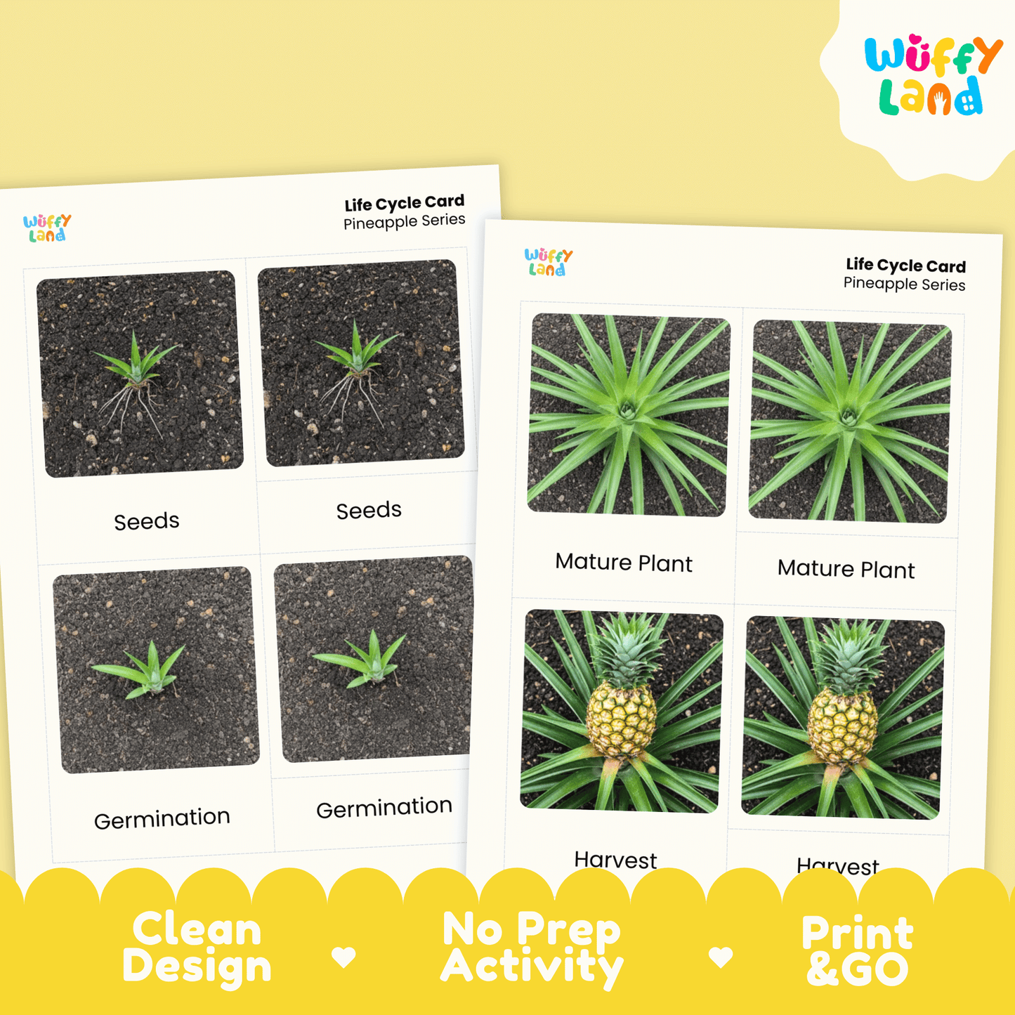 Pineapple Life Cycle Montessori 3-Part Cards - Science Botany Flashcards
