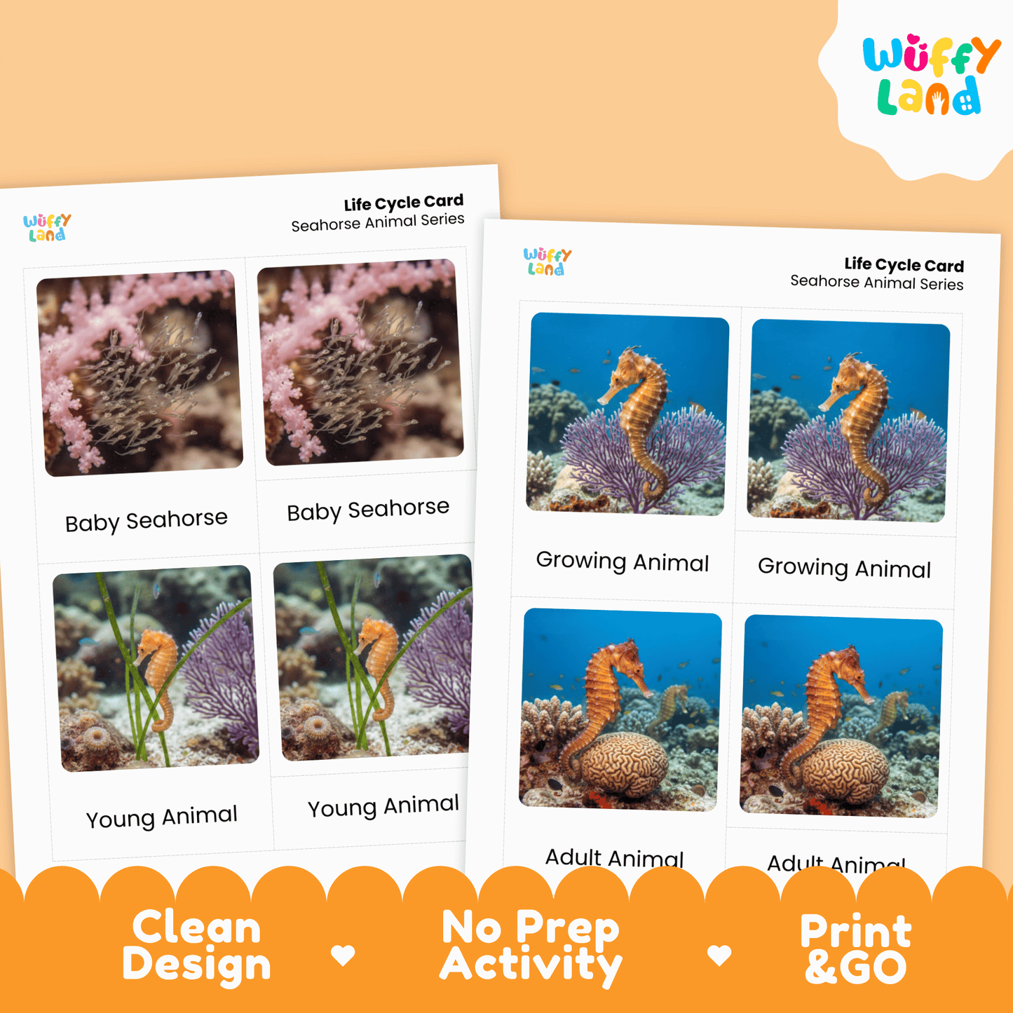 Seahorse Life Cycle Montessori 3-Part Cards - Science Zoology Marine Flashcards