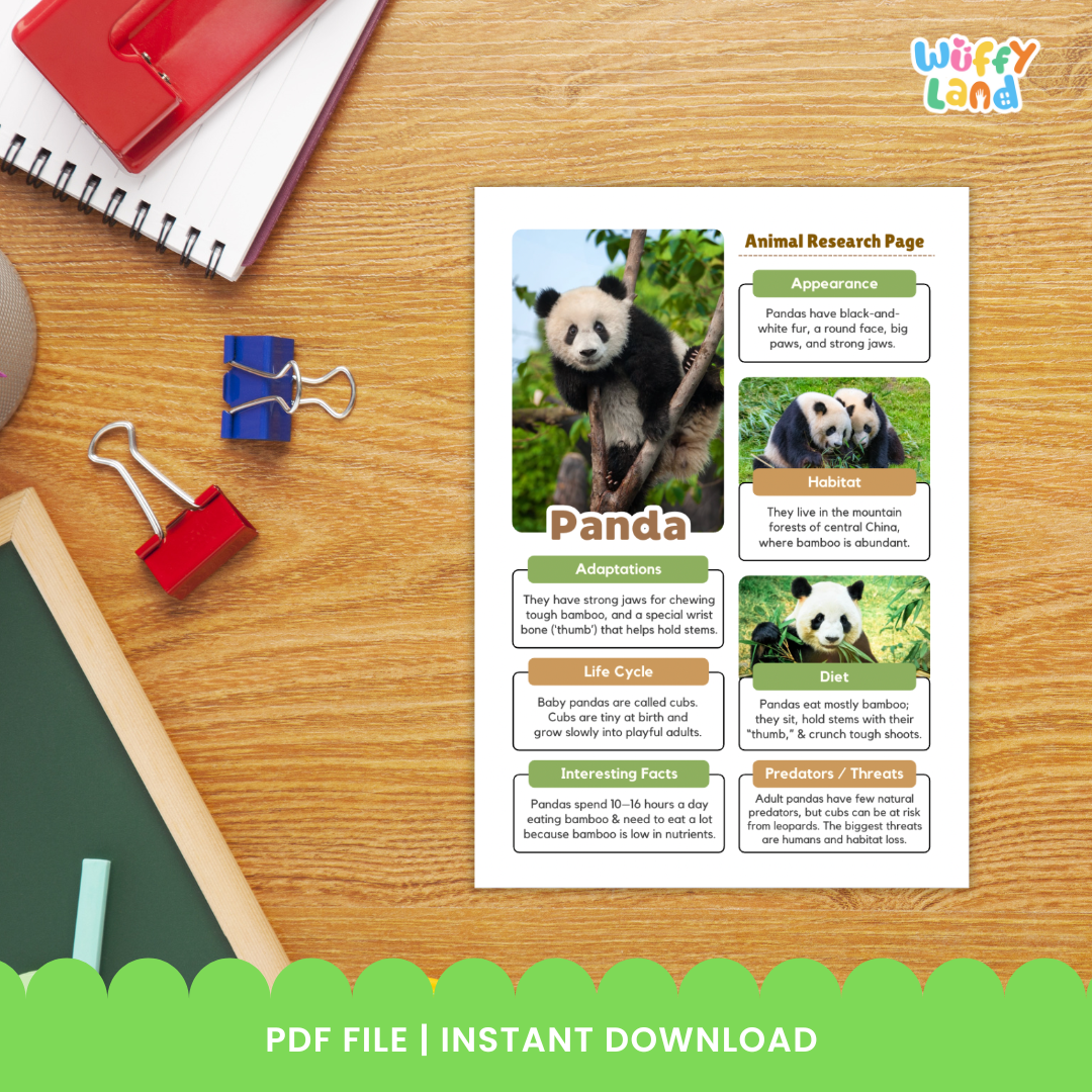 Panda: Teks Informasi Hewan dan Halaman Penulisan Laporan
