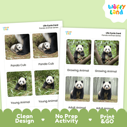 Panda Life Cycle Montessori 3-Part Cards - Science Zoology Mammal Flashcards