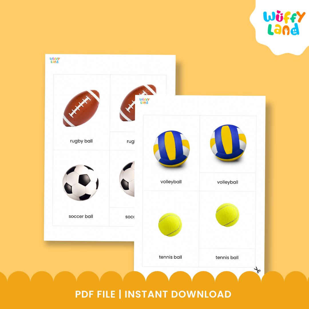 Kartu Sport Ball Montessori 3 Bagian dengan Gambar Asli