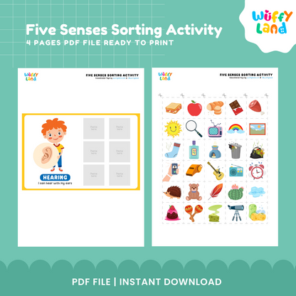 Five Senses Sorting Activity