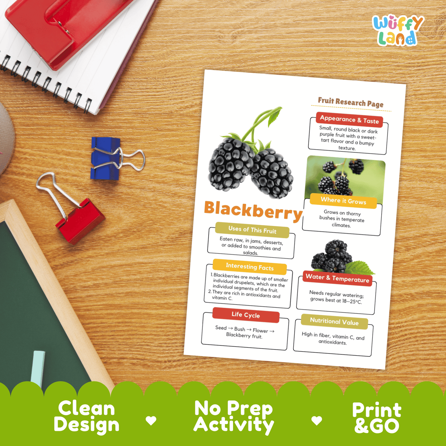 Blackberry Science Activity | Fruit Research Project | Biology | Nature Study