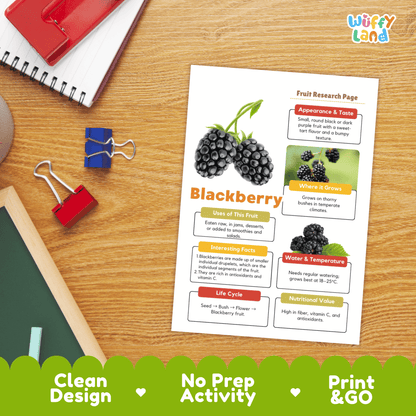 Blackberry Science Activity | Fruit Research Project | Biology | Nature Study