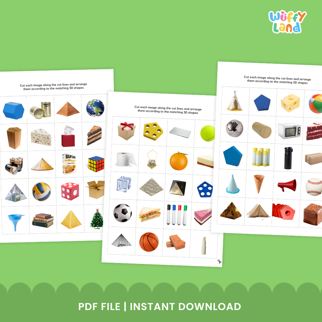 Sortir Bentuk 3D dengan Gambar Asli - Aktivitas Sortir Geometri Praktis
