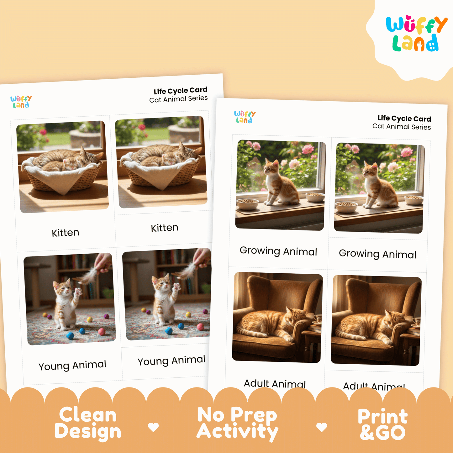 Cat Life Cycle Montessori 3-Part Cards - Science Zoology Mammal Flashcards