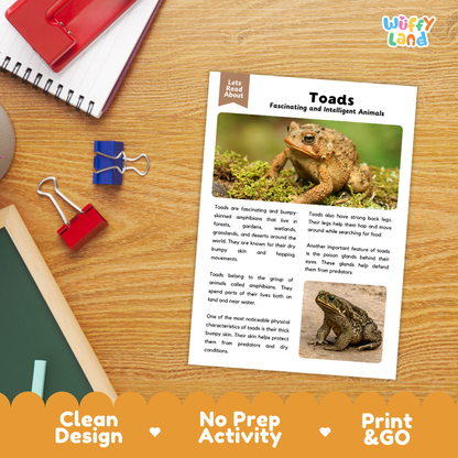 Toad Reading Passage and Comprehension Questions Worksheets with Answer Key