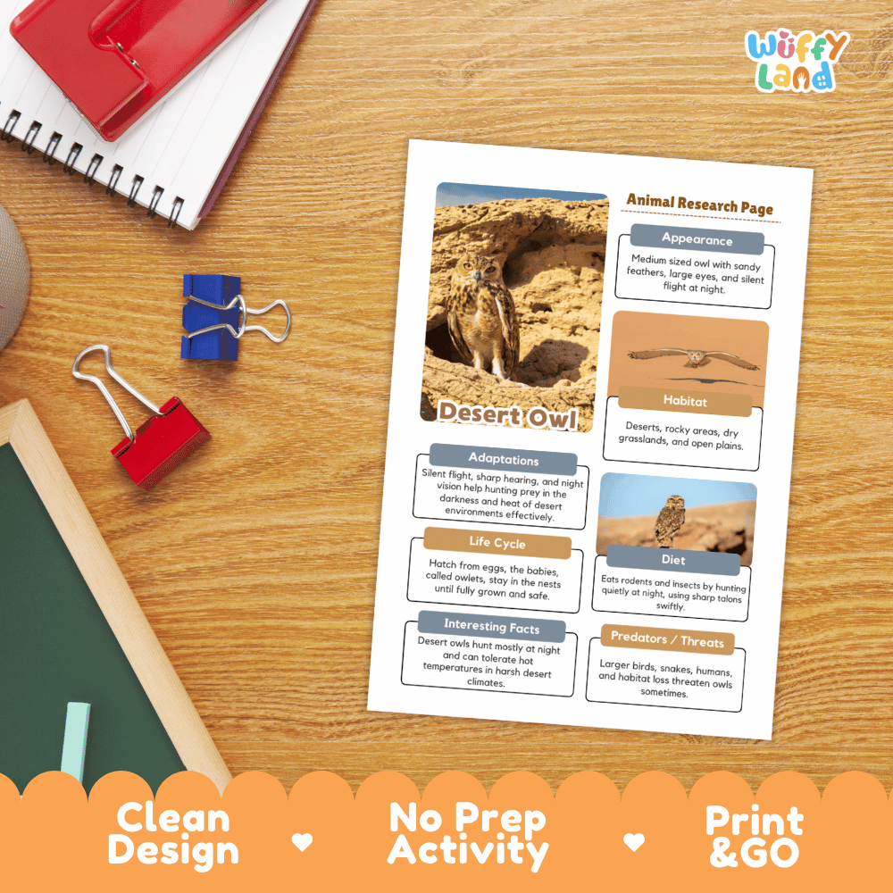 Desert Owl Animal Research Page and Worksheets