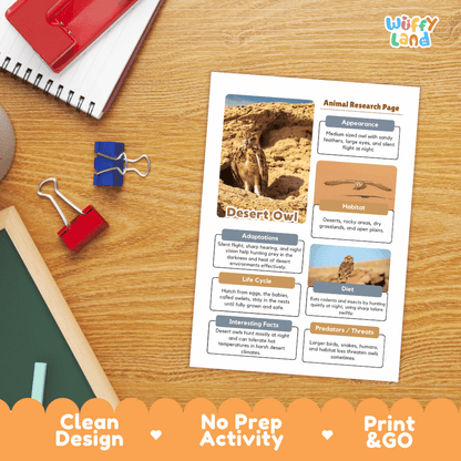 Desert Owl Animal Research Page and Worksheets