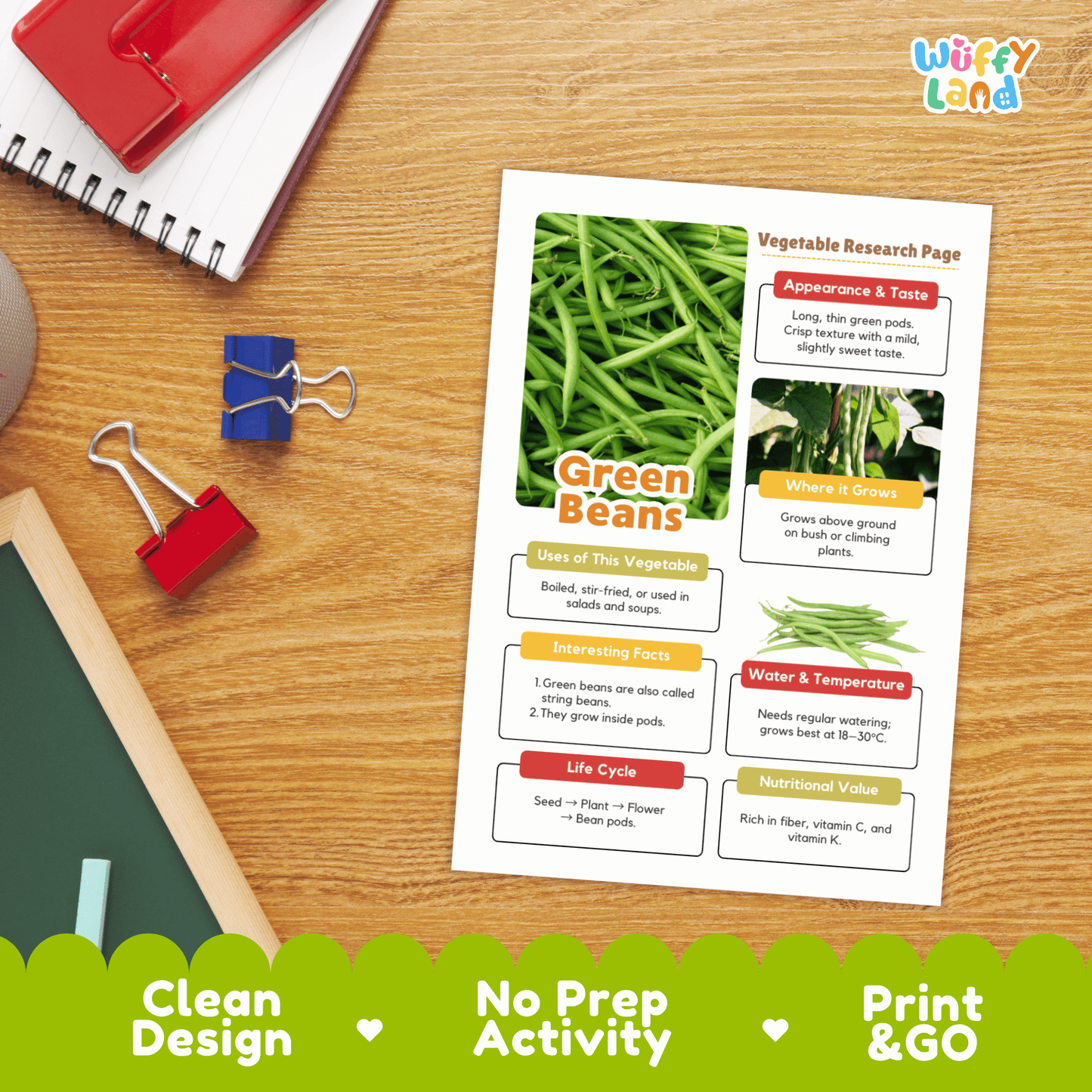 Green Beans Vegetable Research Activity Worksheet Science String Beans Gardening