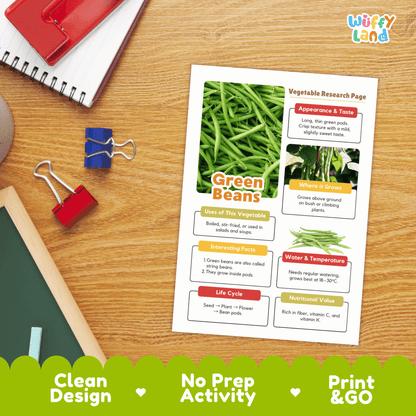 Green Beans Vegetable Research Activity Worksheet Science String Beans Gardening