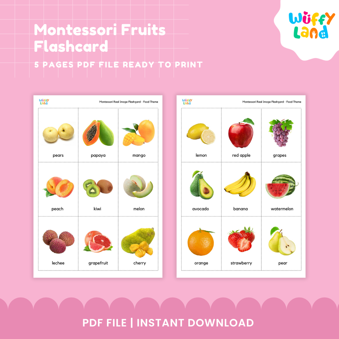 Montessori Fruits Flashcard