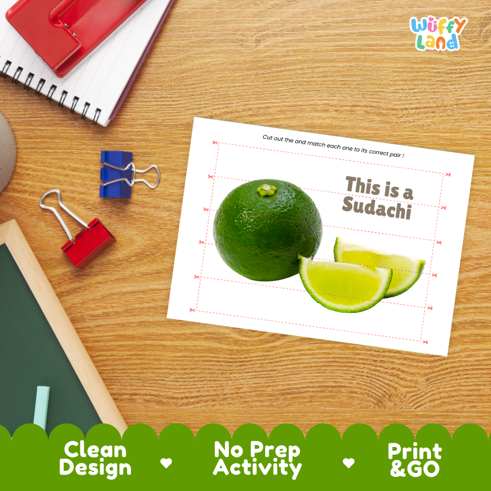 Sudachi Cut and Match Activity Printable Set