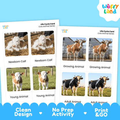 Cow Life Cycle Montessori 3-Part Cards - Science Zoology Farm Animal Flashcards