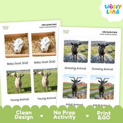 Goat Life Cycle Montessori 3-Part Cards - Science Zoology Flashcard