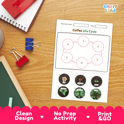 Coffee Lifecycle Poster and Cut and Paste Activity Worksheets | Plant Science Printables