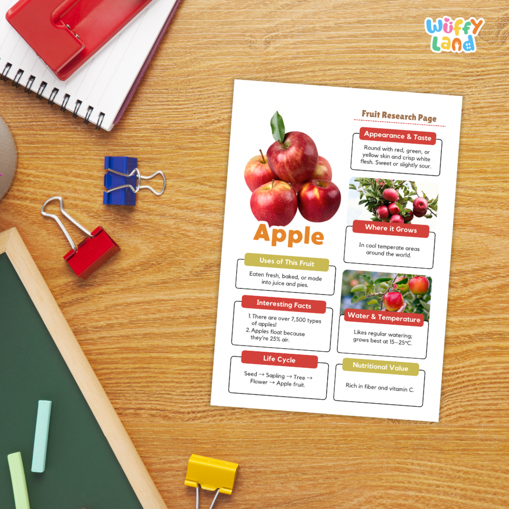 Apple Fruit Research Page Worksheets and Fact Sheet