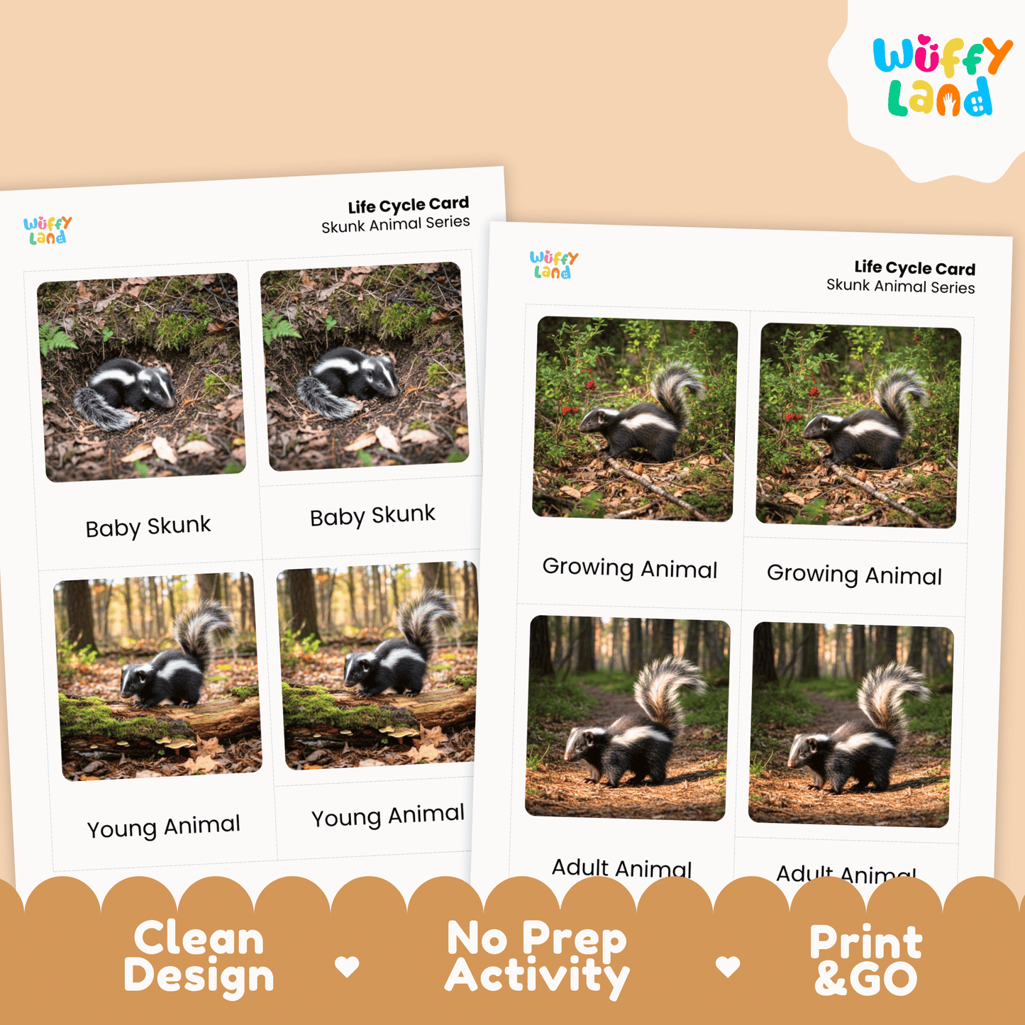 Skunk Life Cycle Montessori 3-Part Cards - Science Zoology Mammal Flashcards
