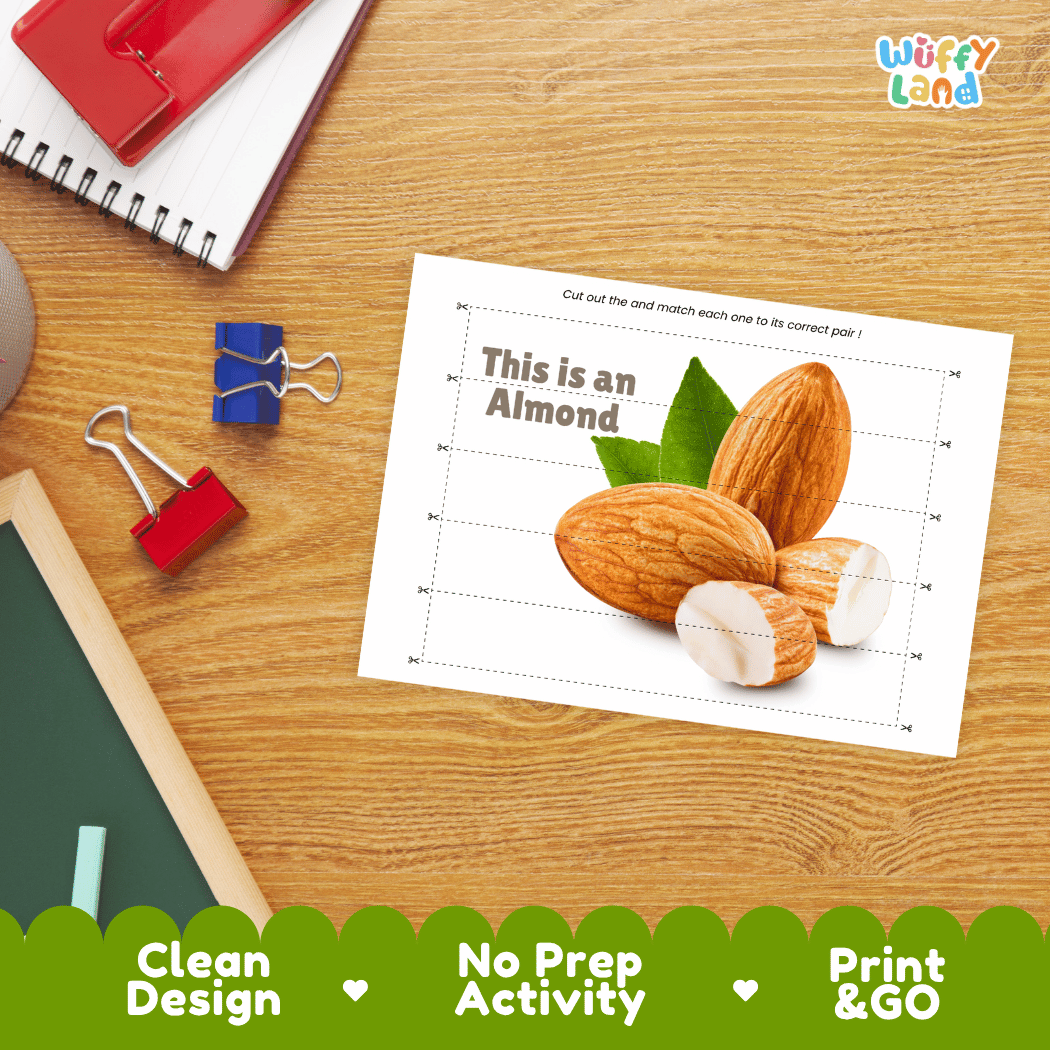 Almond Cut and Match Activity Worksheets | Nuts and Dried Fruits Puzzle Printables