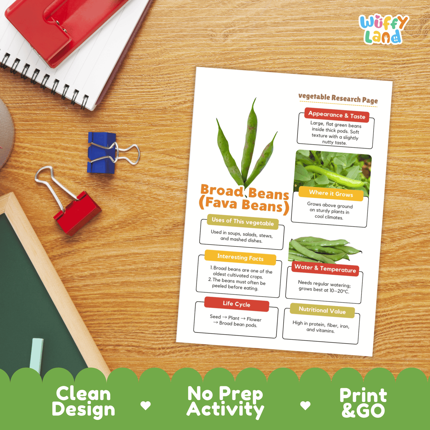 Broad Beans Fava Beans Vegetable Research Activity Worksheet Healthy Eating