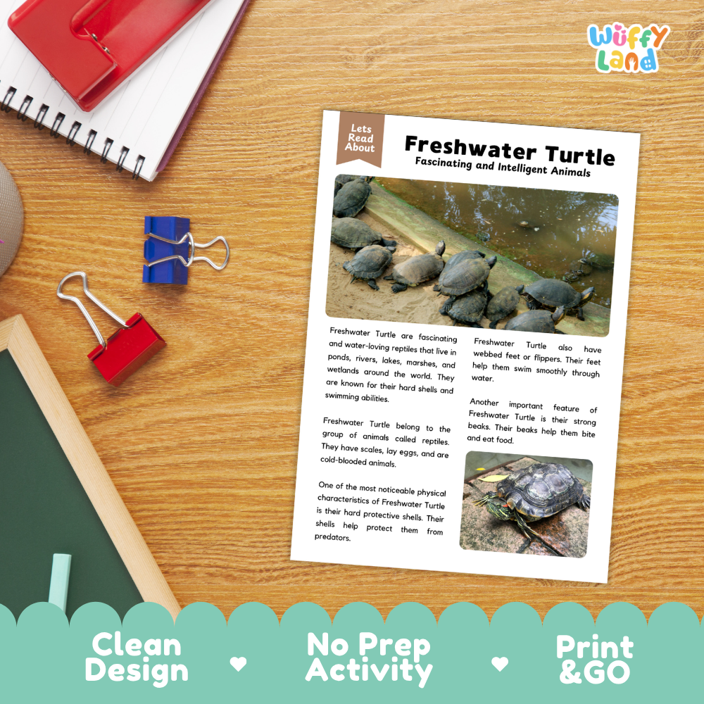 Freshwater Turtle Reading Passage and Questions Worksheets with Answer Key