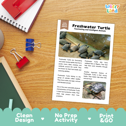 Freshwater Turtle Reading Passage and Questions Worksheets with Answer Key