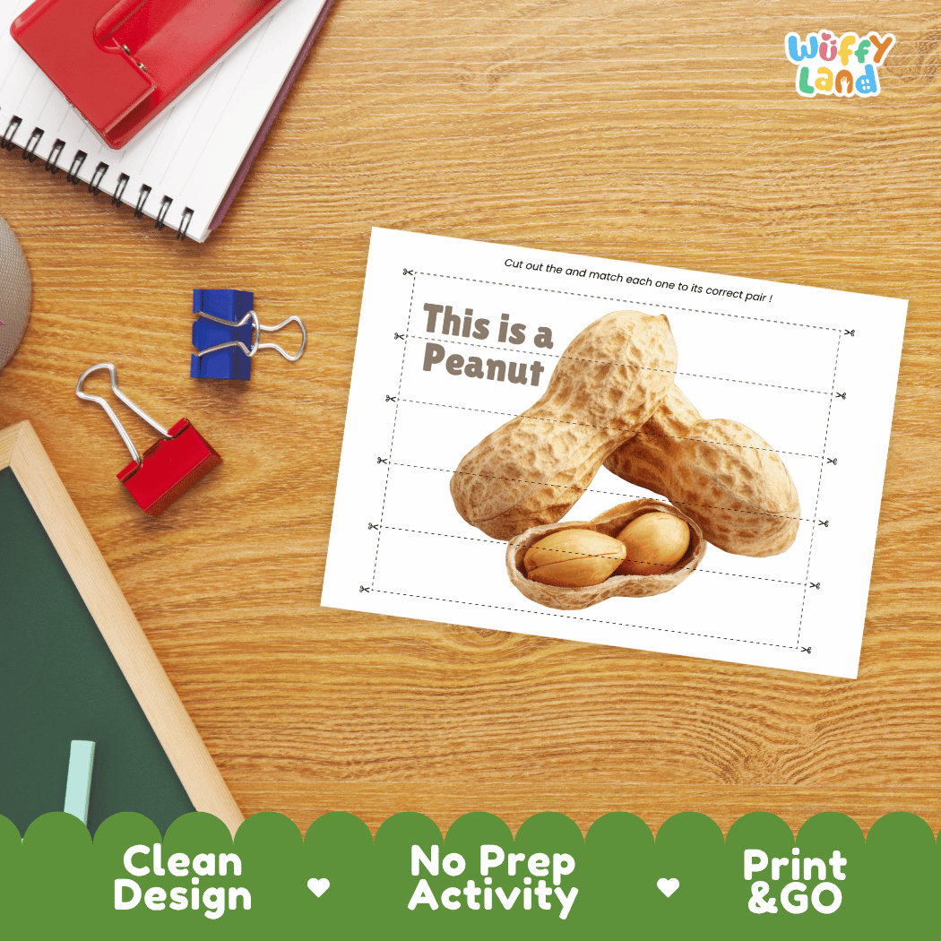 Peanut Cut and Match Activity Worksheets | Nuts and Dried Fruits Puzzle Printables