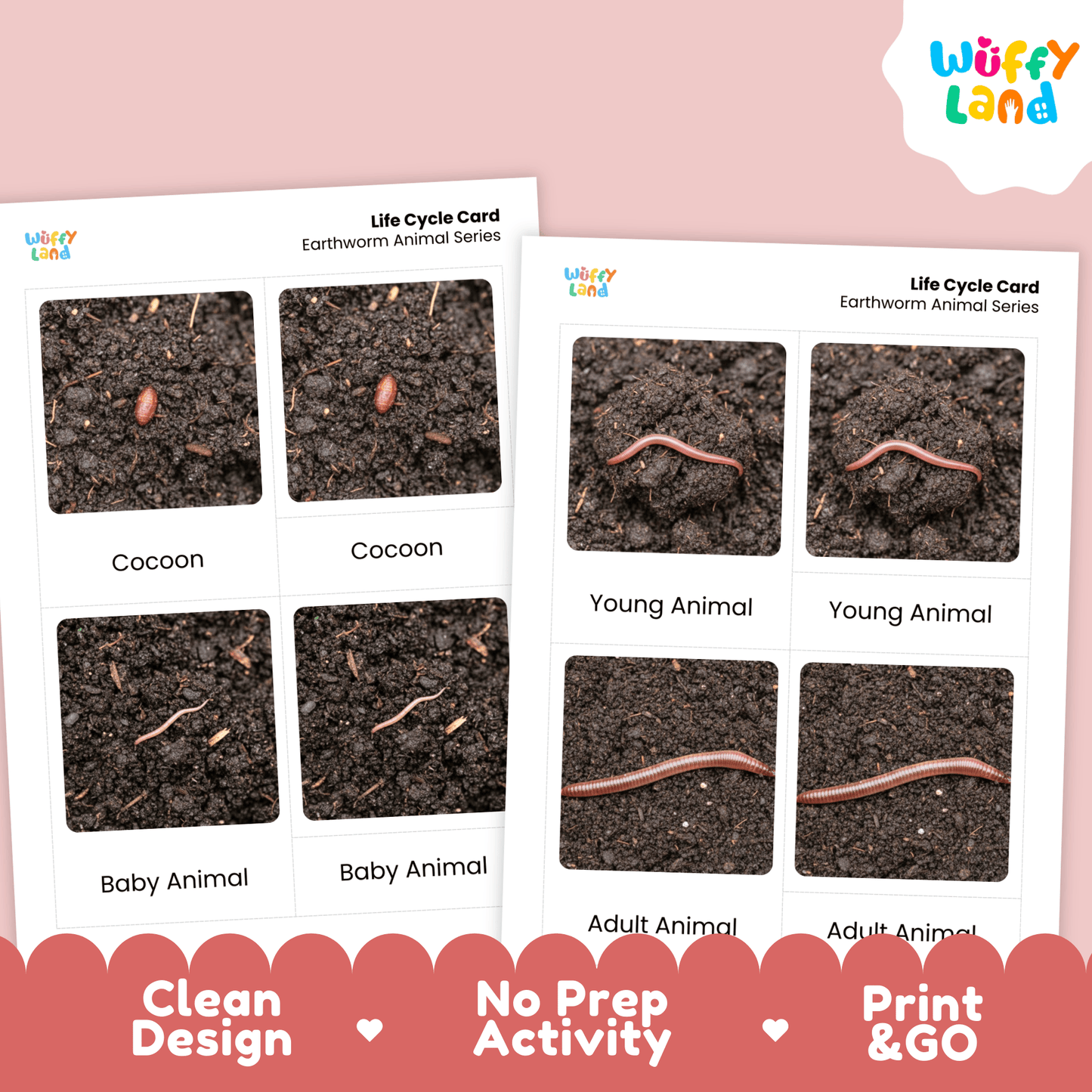 Earthworm Life Cycle Montessori 3-Part Cards - Science Zoology Invertebrate