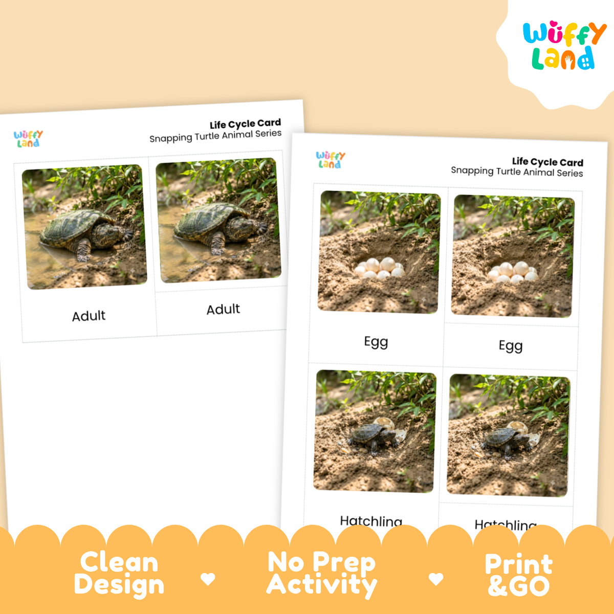 Snapping Turtle Life Cycle Flashcards 3 Part Cards Montessori Science Activity