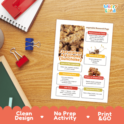 Jerusalem Artichoke Sunchoke Vegetable Research Activity Worksheet Science
