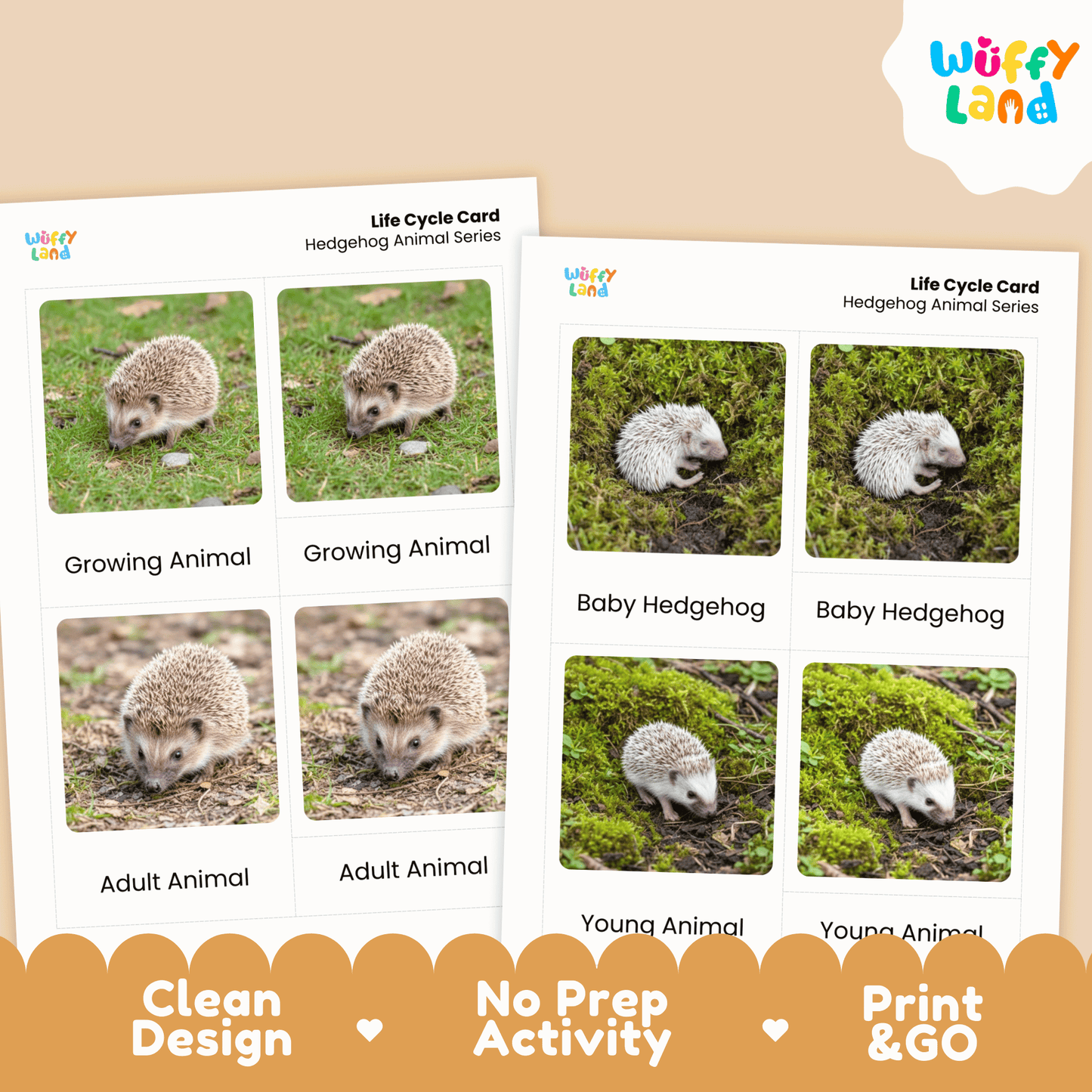 Hedgehog Life Cycle Montessori 3-Part Cards - Science Zoology Mammal Flashcards