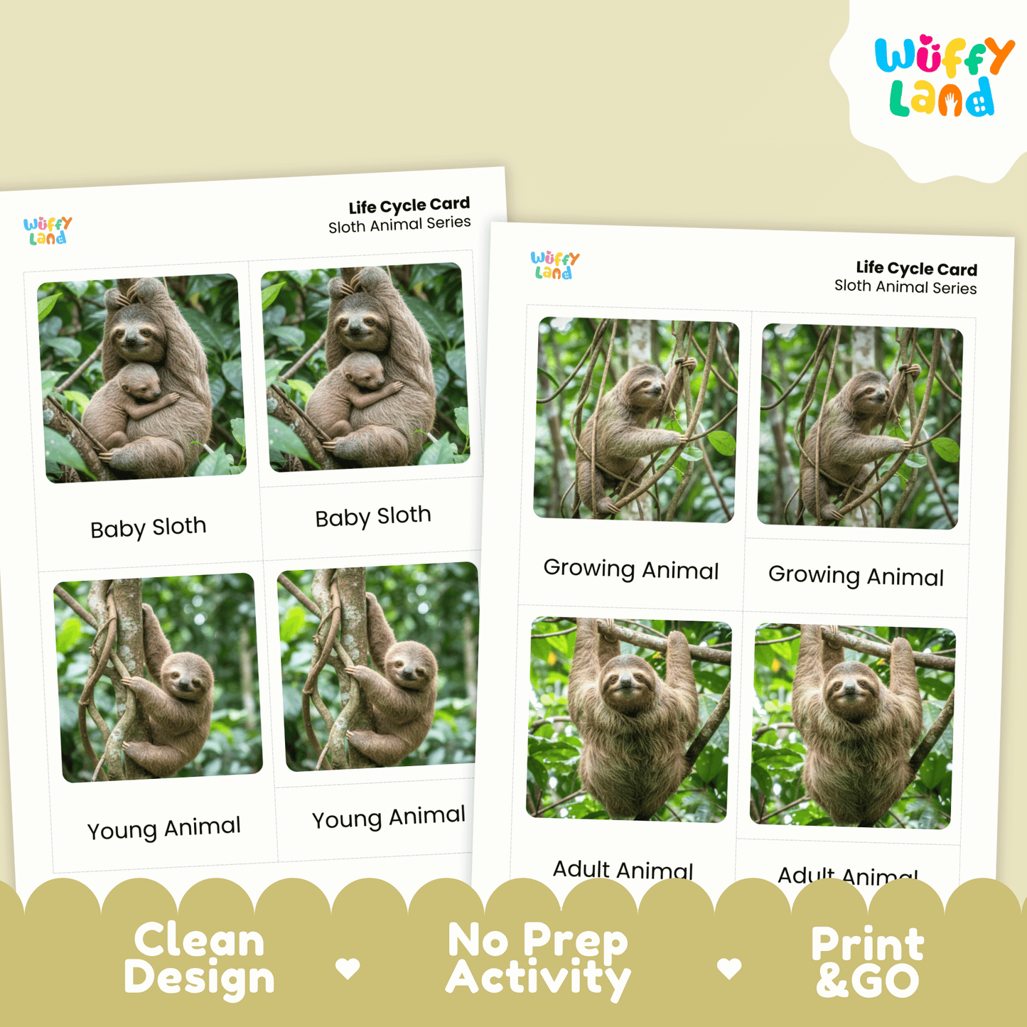 Sloth Life Cycle Montessori 3-Part Cards - Science Zoology Mammal Flashcards