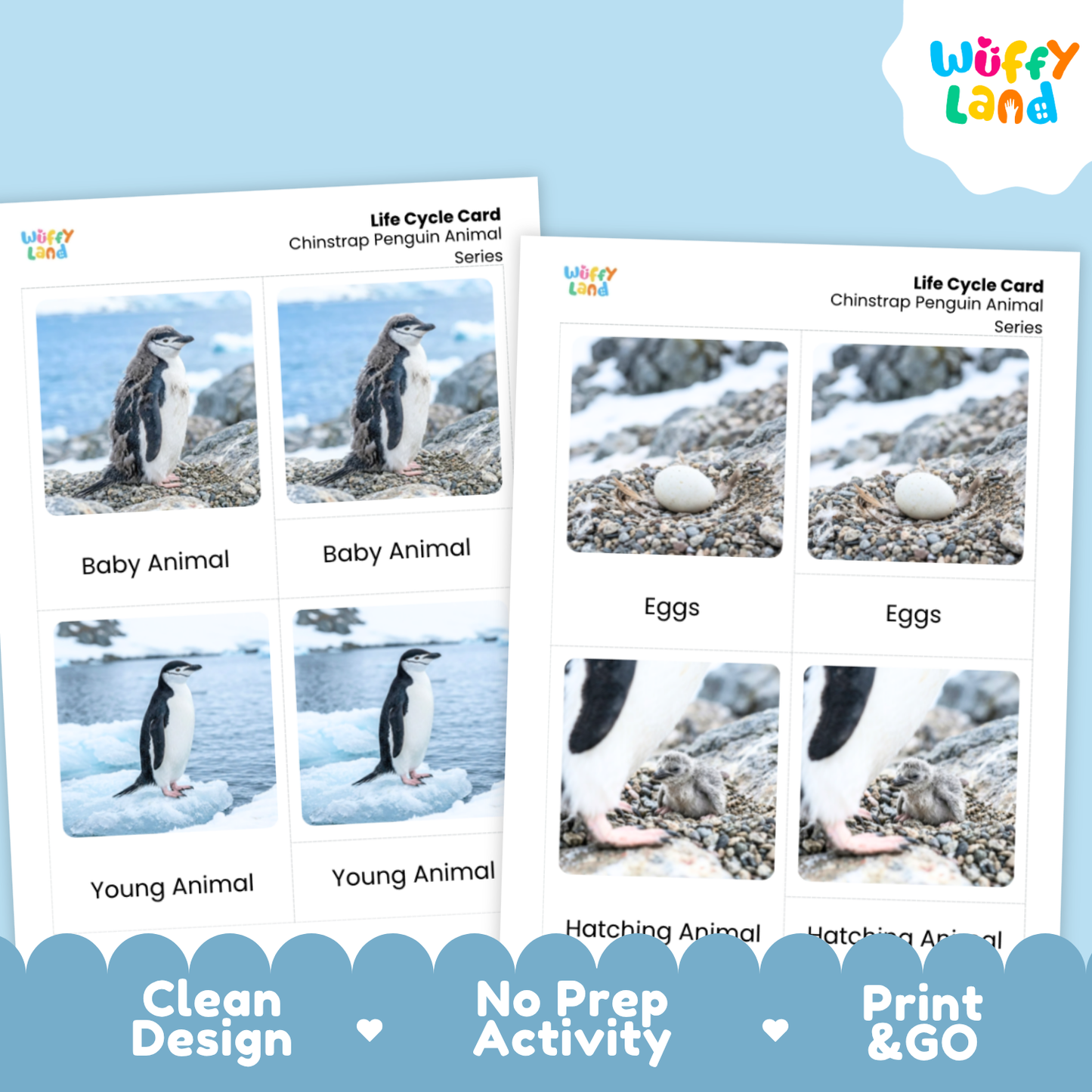 Chinstrap Penguin Life Cycle Flashcards | Montessori 3 Part Cards Science Activity