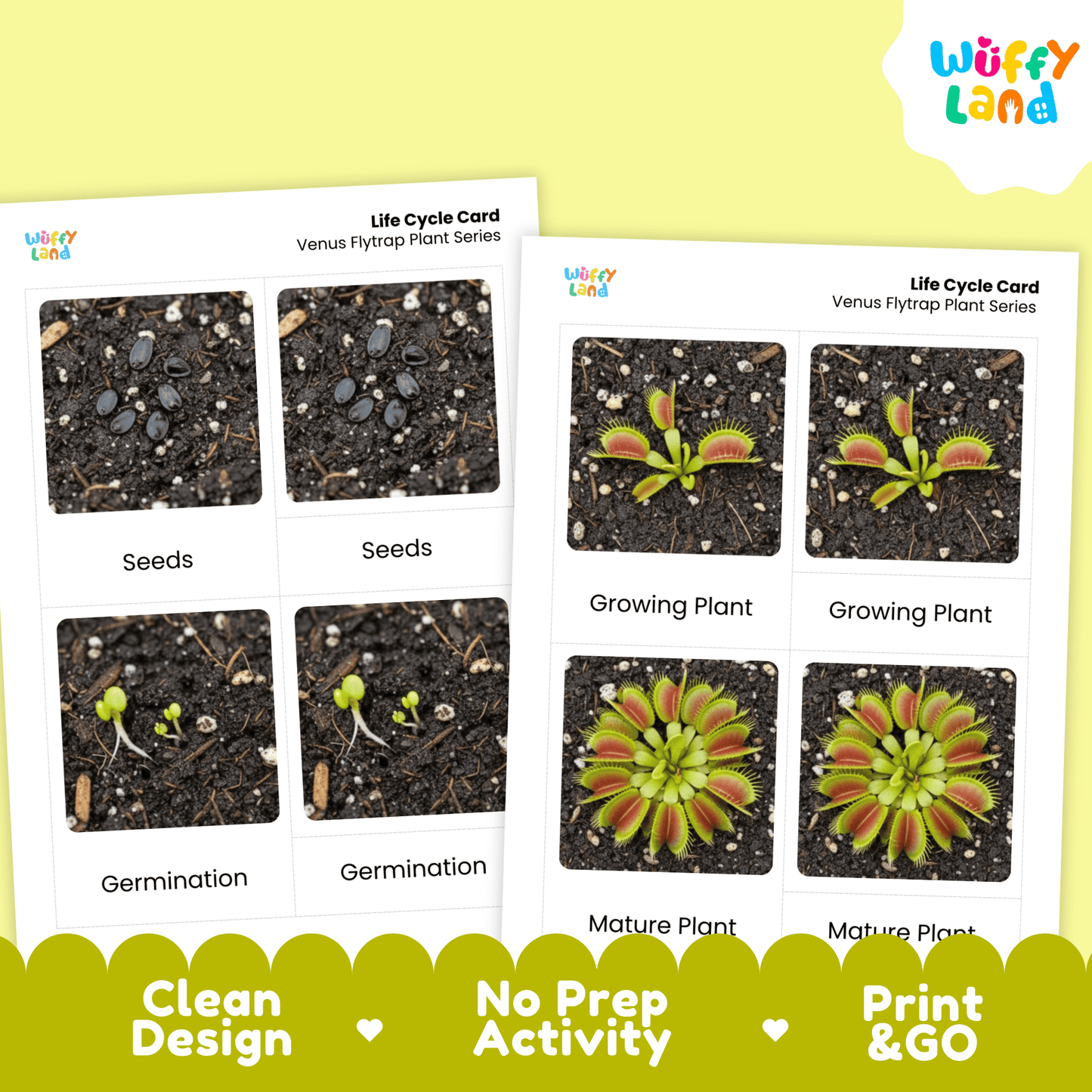 Venus Flytrap Life Cycle Montessori 3-Part Cards - Science Botany Flashcards