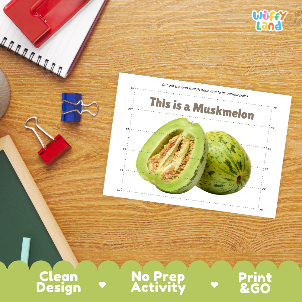 Close-up of puzzle worksheet showing muskmelon images and dotted scissor lines