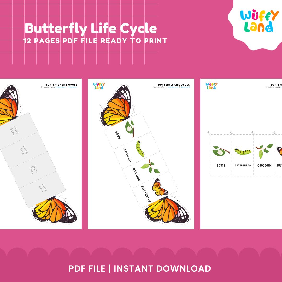 Butterfly Life Cycle Printable - Life Cycle Learning for Kids