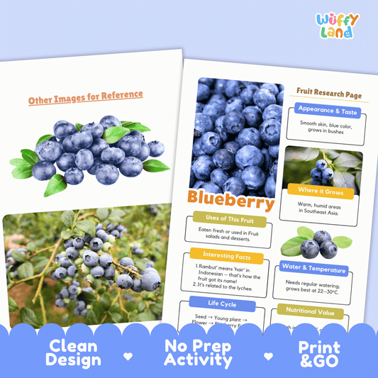 Blueberry Science Activity | Fruit Research Project | Biology | Nature Study