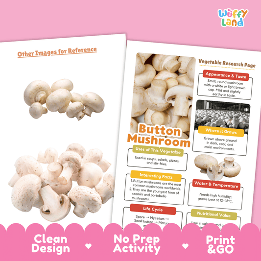 Button Mushroom Vegetable Research Activity Worksheet Healthy Eating Science